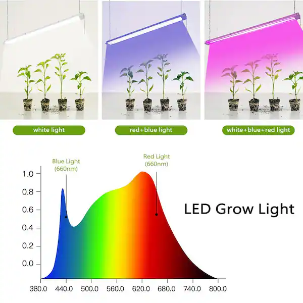 Growing lights are a crucial component of proper indoor setups to grow marijuana